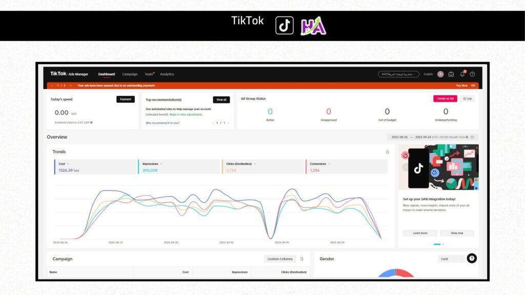 Advertising campaign results
