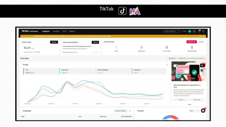 Advertising campaign results